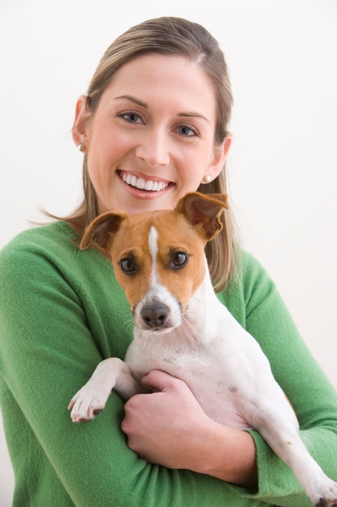GP vets will refresh their knowledge of common conditions they will encounter in gerneral practice