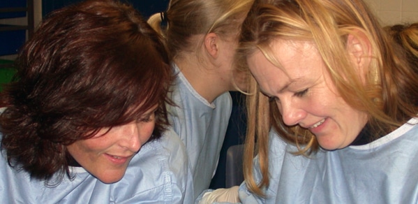 GP vets learning and updating their skills on a refresher course