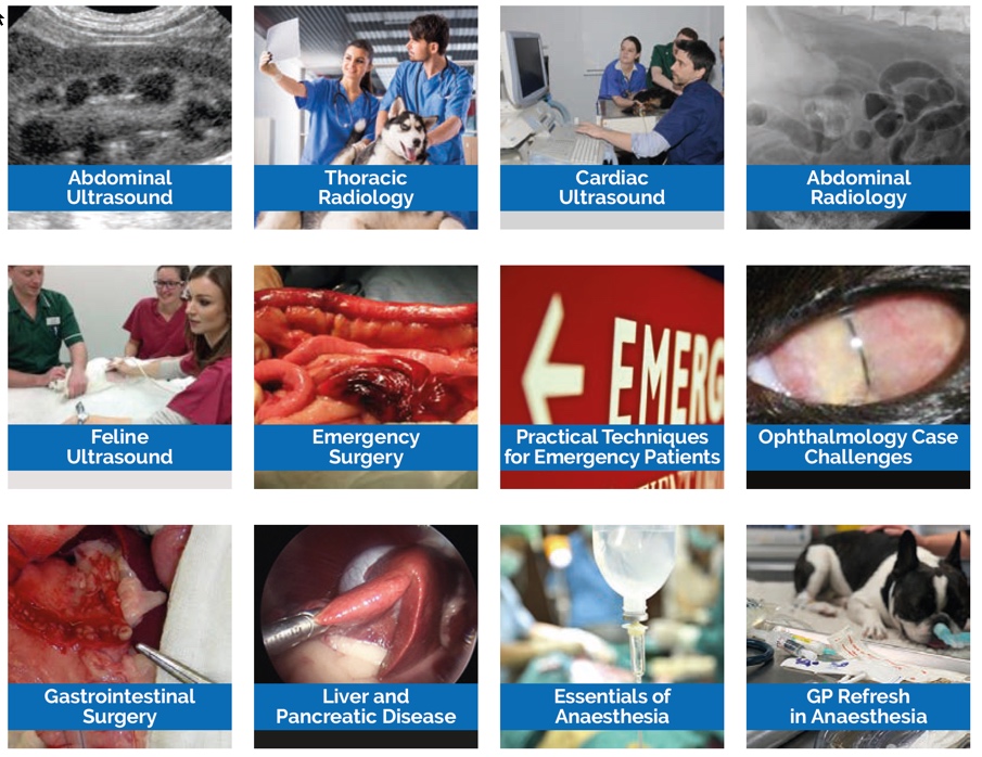 OMS brochure image OMS brochure image