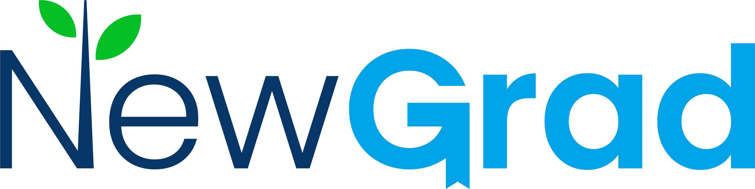 NewGrad Logo full color L