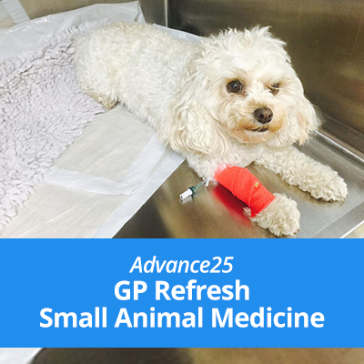 AD119-GP-Refresh-Small-Animal-Medicine-SALES-PAGE