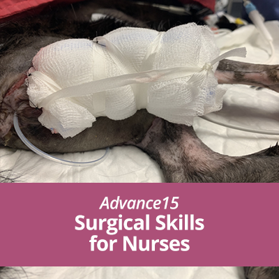 ADN103-SurgicalSkillsNurses