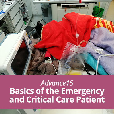 ADN106-Basics-of-Emergency-SALESPAGE-1