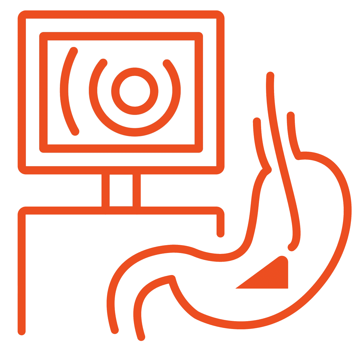 practical endoscopy