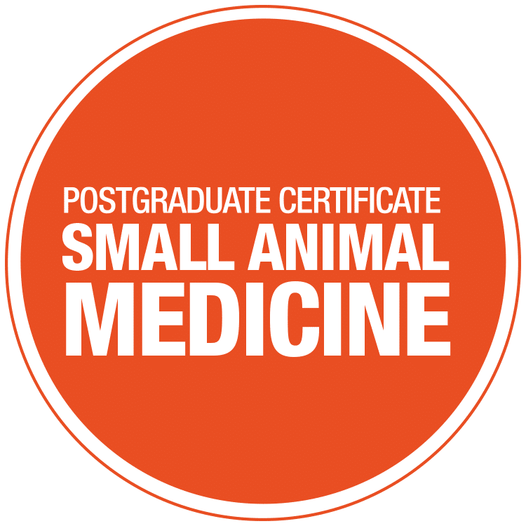 PgCMed-LP-Circle2 Postgraduate certificate in small animal medicine header banner