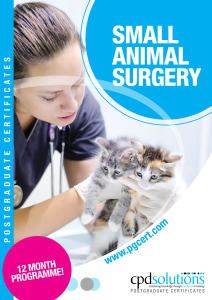 +PgCert Brochure 2025