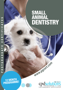 + PgCert Dentistry Brochure 2025