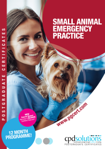 +PgCert Emergency Brochure 2025