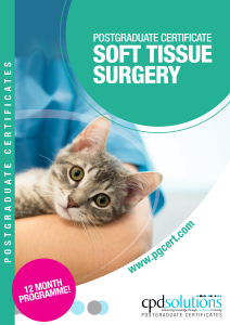 +PgCert STS Brochure