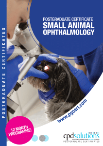 +PgCert Ophthalmology Brochure Cover