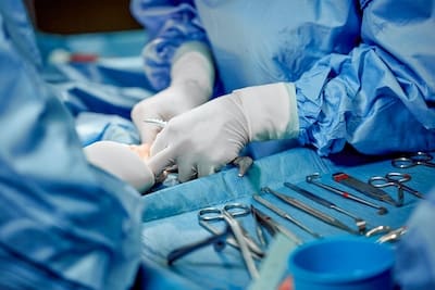 veterinary advanced practitioner cpd course surgical image