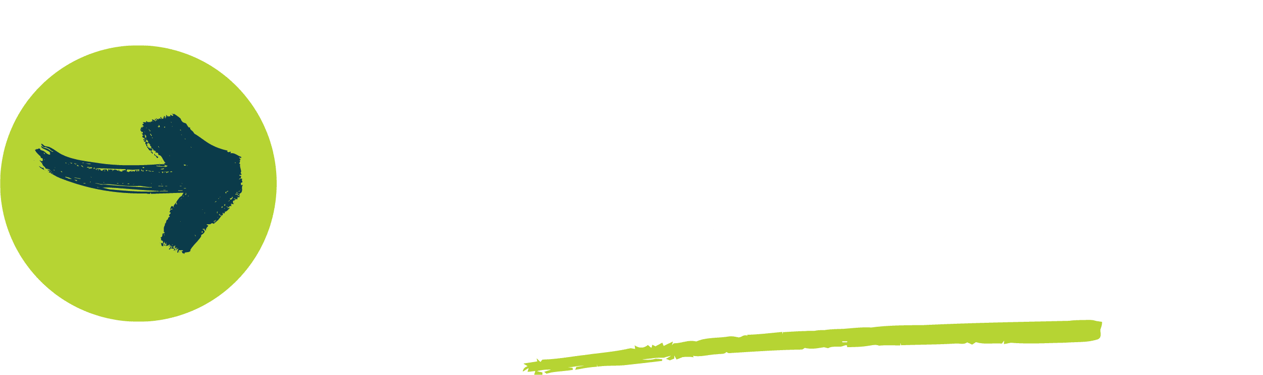 250 Book Now Button