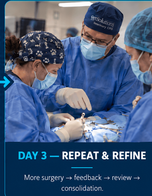 day_3_repeat_refine