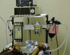 image of a standard veterinary anaesthetic machine