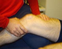 physio examining a knee