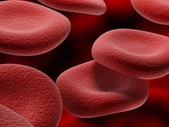 platelets graphic
