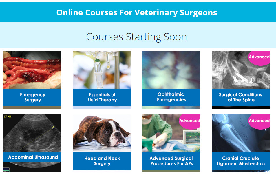 Course veterinary Veterinary Online