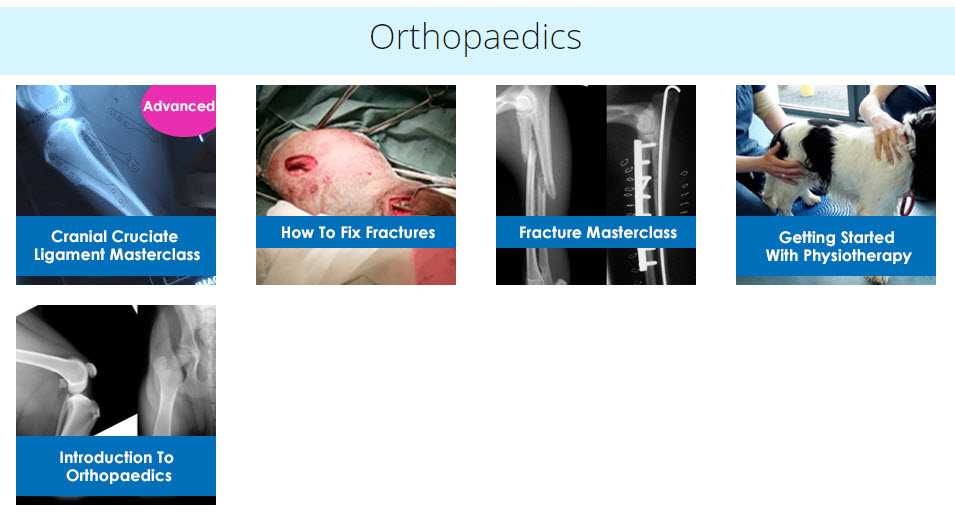 online veterinary orthopaedics courses
