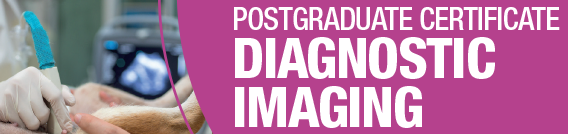 PG Cert Diagnostic imaging