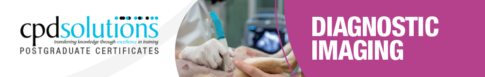 PGCert Diagnostic Imaging Banner